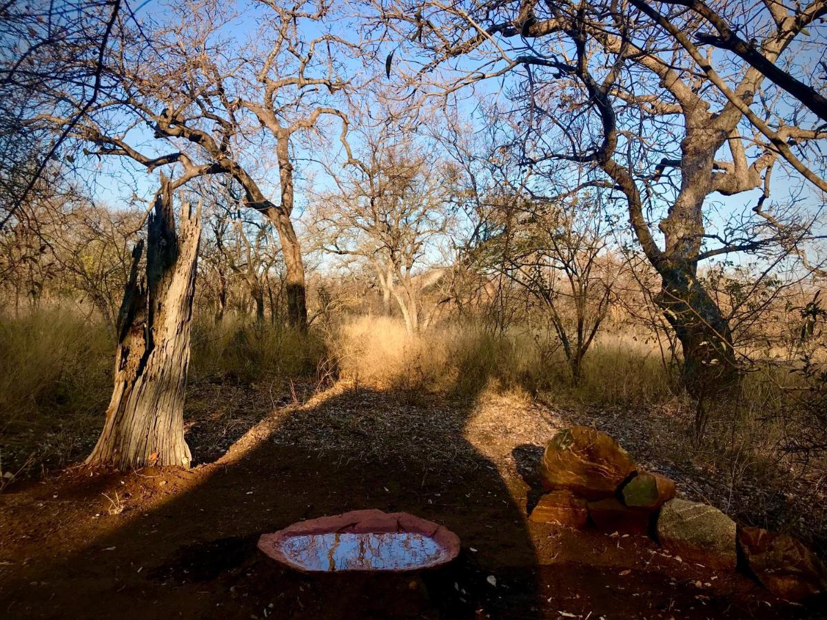The Bush Hut Villa Ходспруит Екстериор снимка
