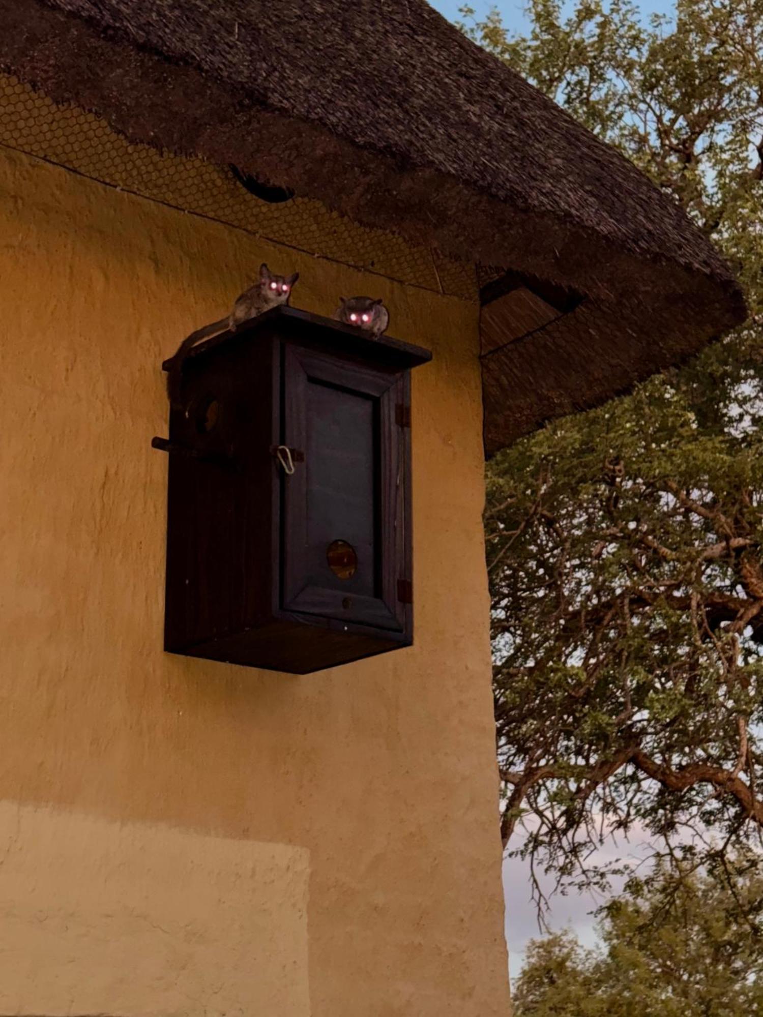 The Bush Hut Villa Ходспруит Екстериор снимка